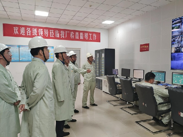 省國資委黨委調研督導組吳俊一行到華浩軒開展黨建工作提質增...
